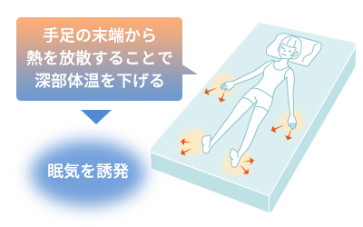 手足の末端から熱を放散することで深部体温を下げる▶睡眠を誘発