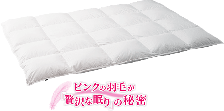 ピンクの羽毛が贅沢の秘密
