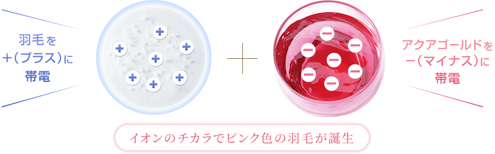 イオンのチカラでピンク色の羽毛が誕生