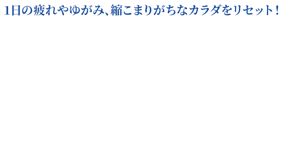 星のやすらぎ エアロクレイドル ボディストレッチピロー｜商品